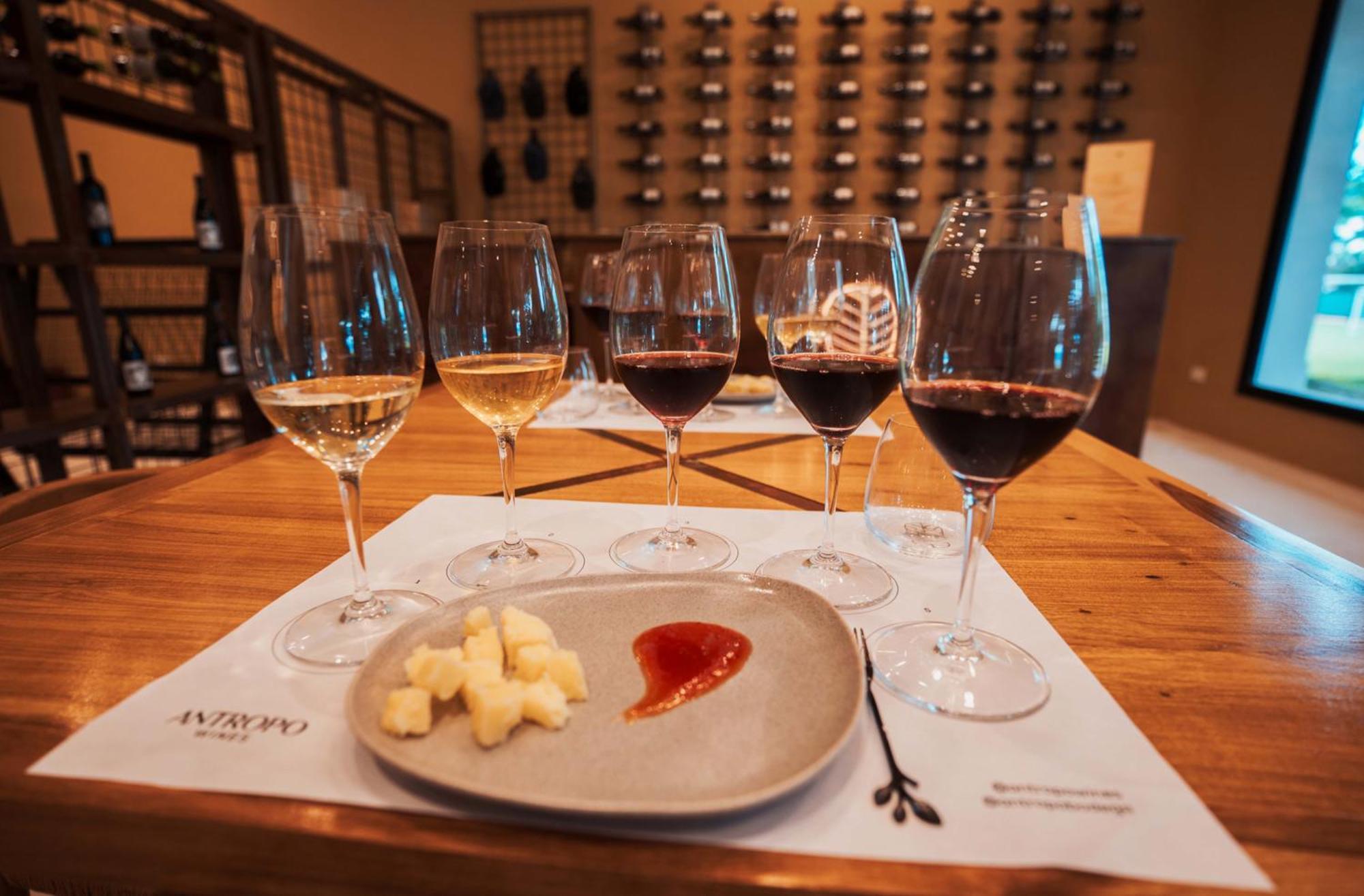 图斯德拉韦纳酒店 圣萨尔瓦多德朱 外观 照片